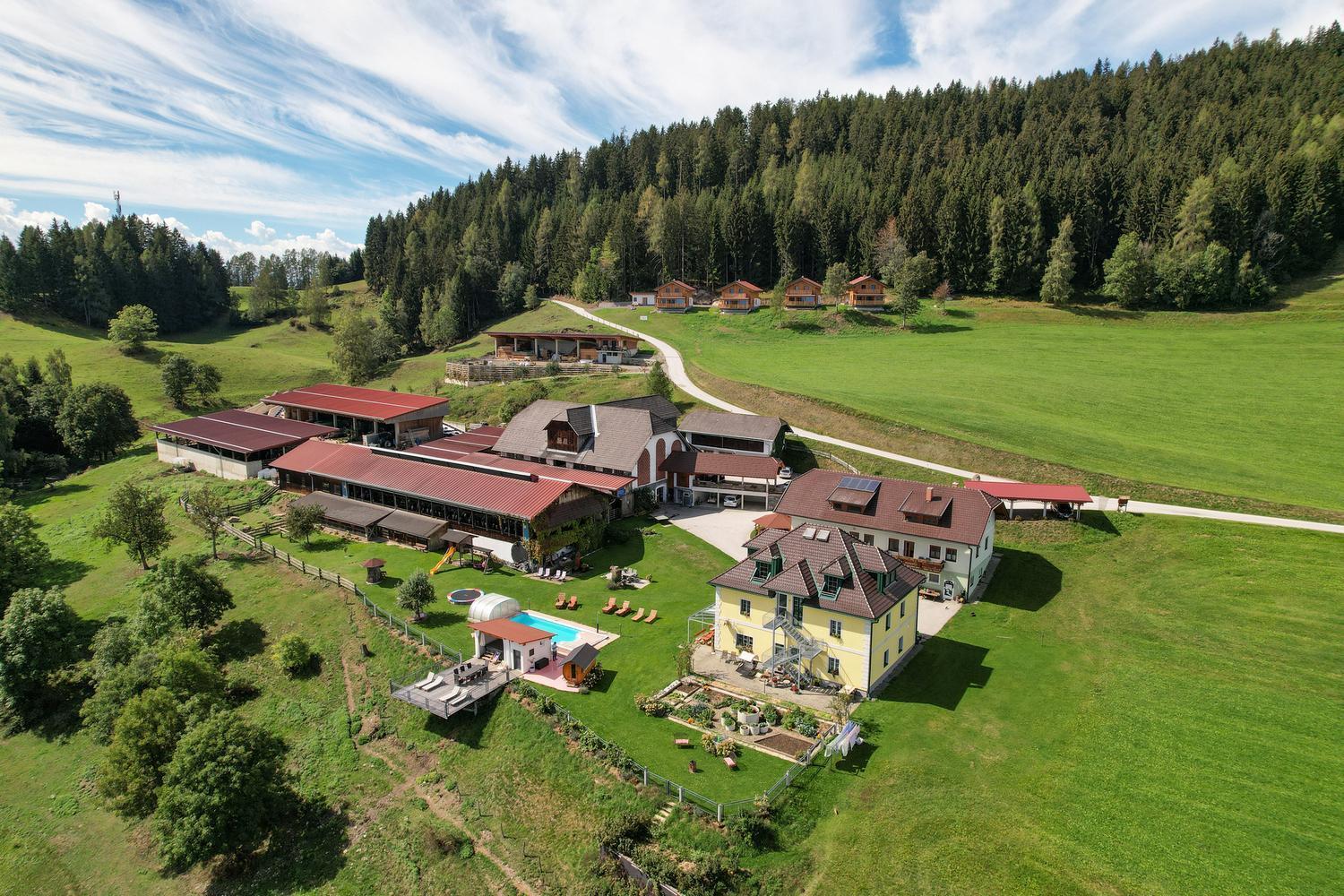 Erlebnisbauernhof Steinerhof In Kaernten Liebenfels Екстер'єр фото