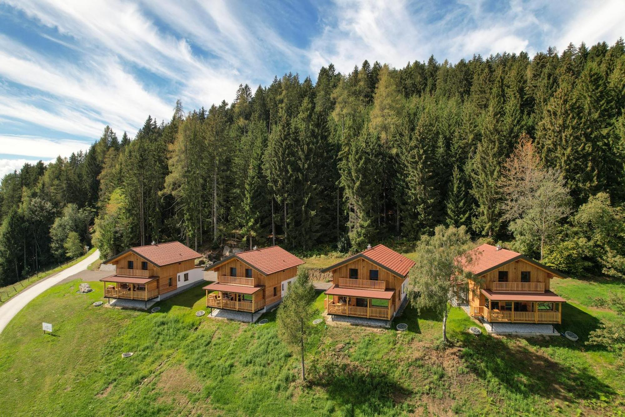 Erlebnisbauernhof Steinerhof In Kaernten Liebenfels Екстер'єр фото